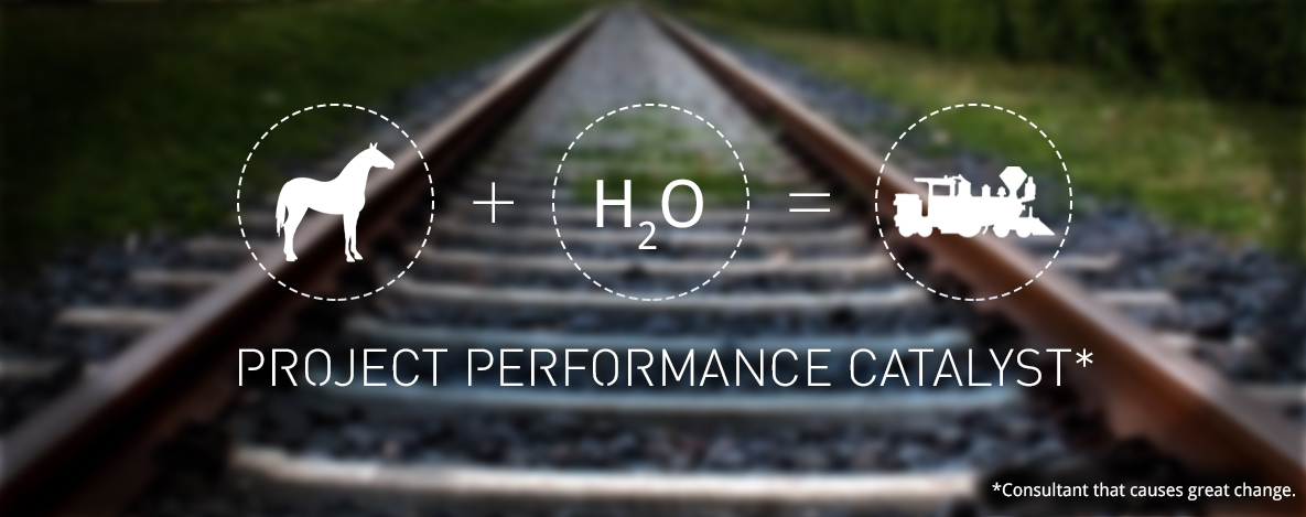 Project Performance Catalyst